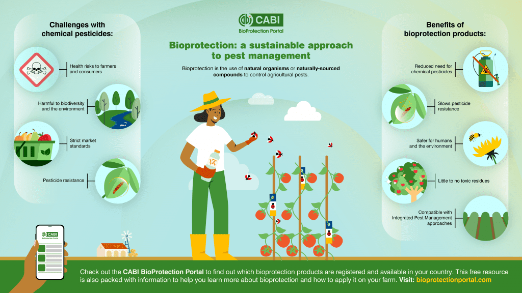 Portal de Bioproteção da CABI - Infográfico de Bioproteção