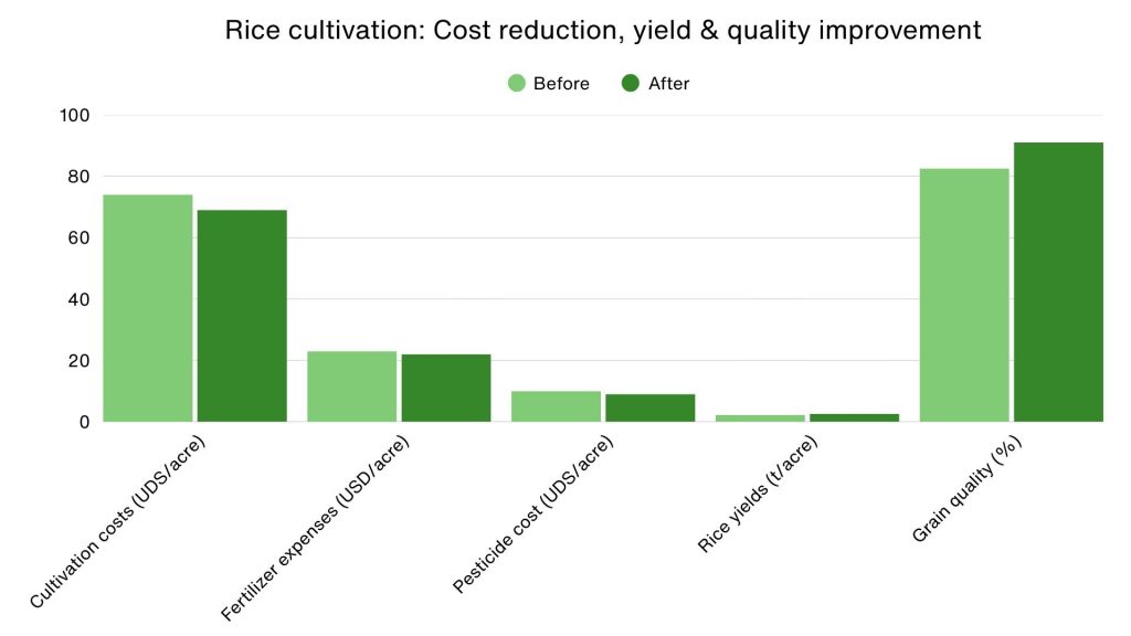 Rice cultivation graph