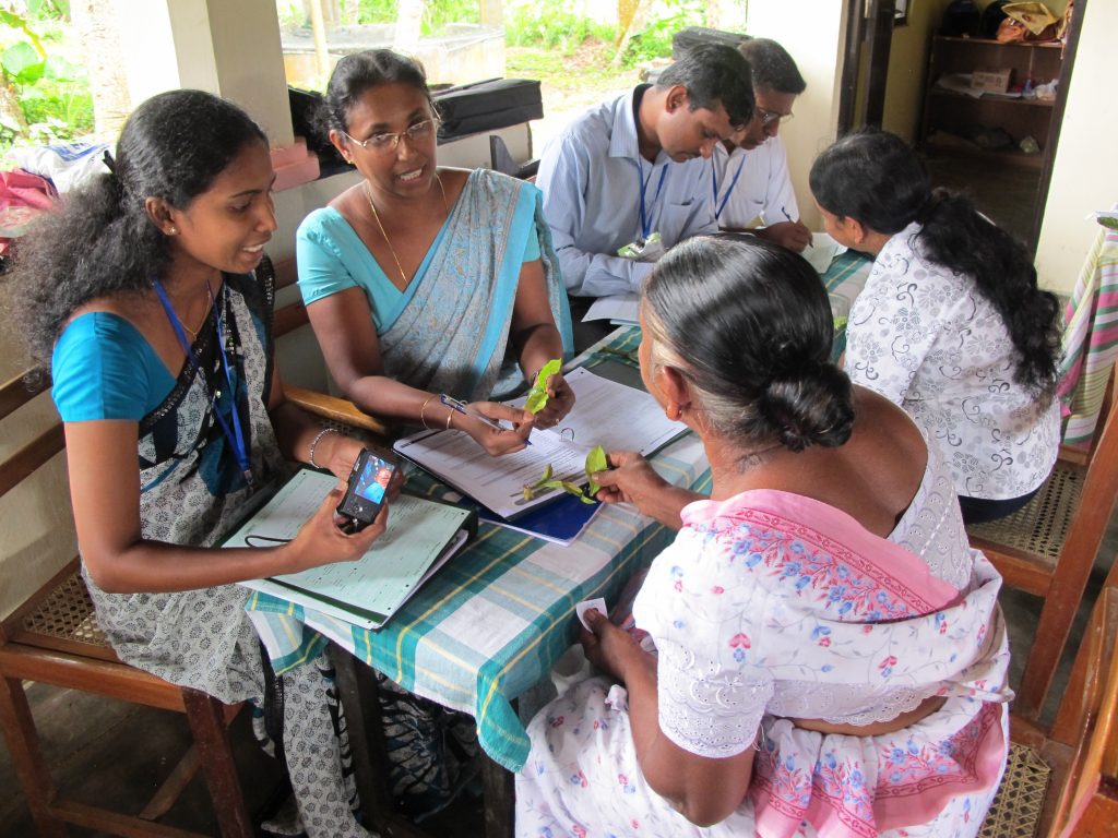 Agricultoras em Bangladesh utilizam ferramentas digitais da CABI para diagnóstico de pragas em suas plantações.
